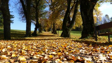 Itinerari in Abruzzo | Itinerari Abruzzo foliage